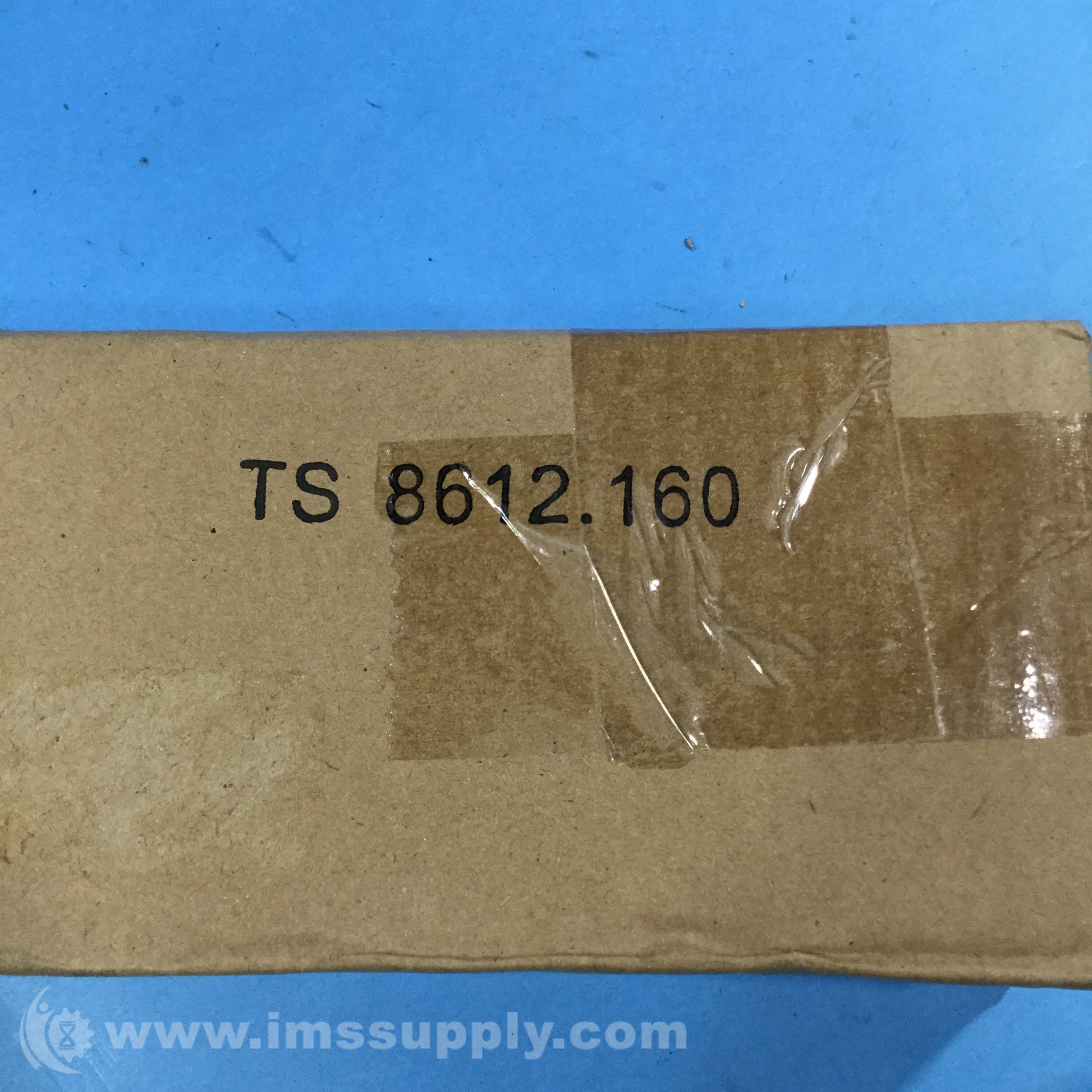 Rittal TS 8612.160 Punched Section - IMS Supply
